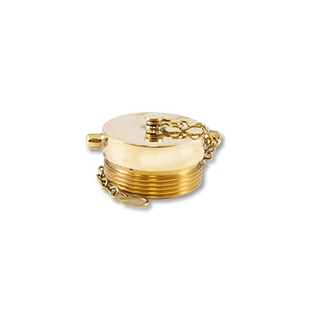 Plug, Brass, 2.5" NST/NH, Chain, Pin, Polished, Fast